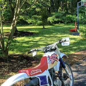 Meet your Posher, Shane